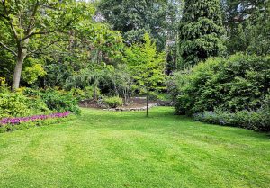 Optimiser l'expérience du jardin à Proisy